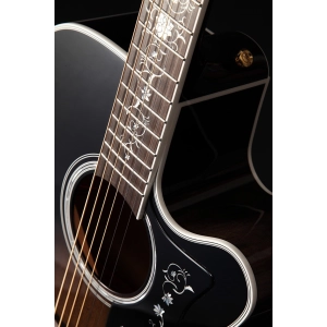 Takamine EF450C-TT