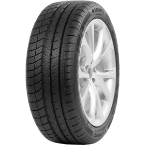 Neumáticos Davanti Wintoura Plus 225/50 R17 98H