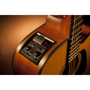 Takamine GD10CE