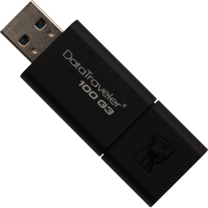 USB-palo Kingston DataTraveler 100 G3 256 Gb