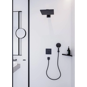 Hansgrohe Raindance E 300 26238000