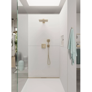 Hansgrohe Raindance E 300 26238000