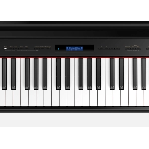 Roland GP-609