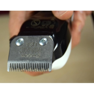 Wahl ColorPro 79300-1616