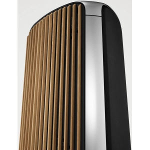 Bang&Olufsen BeoLab 50