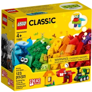 Lego Bricks and Ideas 11001