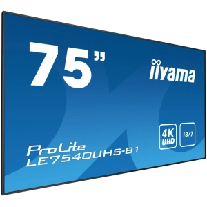 Iiyama