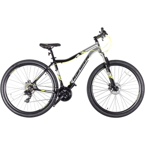 Bicicleta Ranger Magnum 29 Disc frame 19