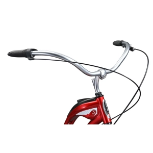 Schwinn Town&Country 2019