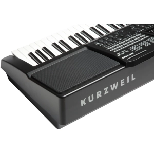 Kurzweil