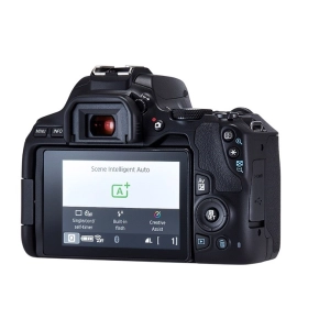 Canon EOS 250D body