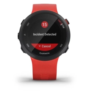 Garmin Forerunner 45