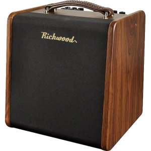 Amplificador de guitarra Richwood RAC-50