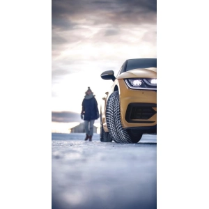 Nokian WR Snowproof