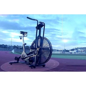 Assault Fitness AirBike