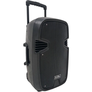 Sistema de audio Soundking SKLS331