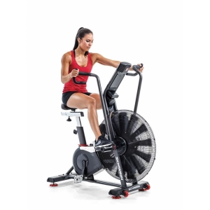 Schwinn Airdyne AD8