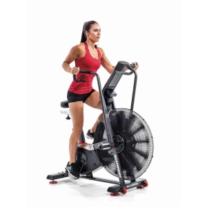 Schwinn Airdyne AD8