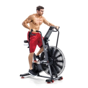 Schwinn Airdyne AD8