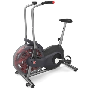 Schwinn Airdyne AD2i