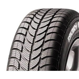 Sava Eskimo S3 205/55 R16 91T