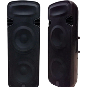 Altavoz BIG EON215