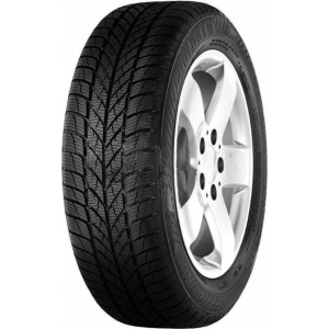 Neumáticos PAXARO Inverno 215/50 R17 95V