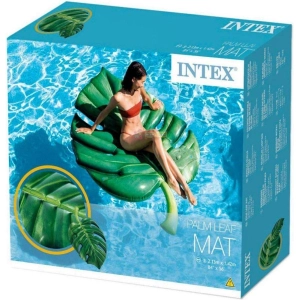 Intex