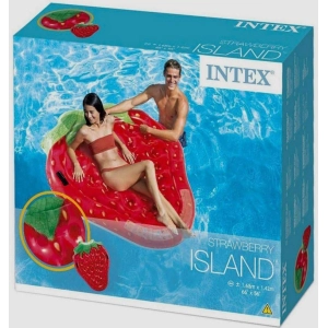 Intex