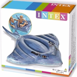 Intex