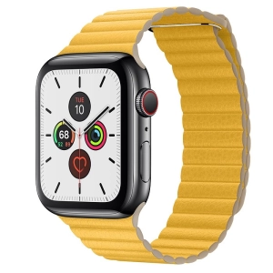 Apple Watch 5 Steel 40 mm Cellular