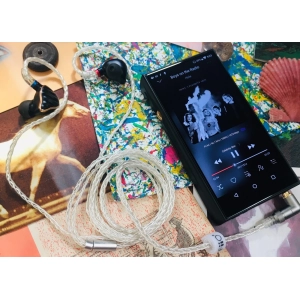 FiiO M11