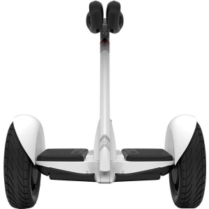 Ninebot by Segway S gyroboard / monociclo S