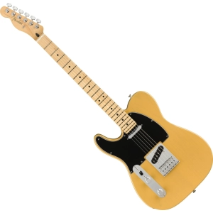 Fender