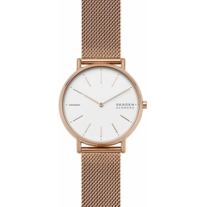 Reloj Skagen SKW2784