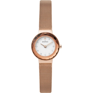 Reloj Skagen SKW2799