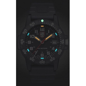 Luminox 0307.WO