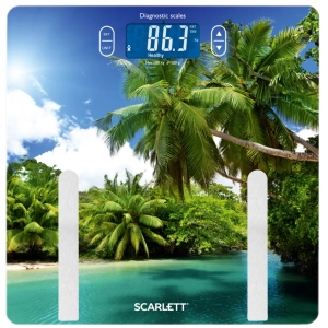 Escala Scarlett SC-BS33ED12