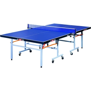 Mesa de tenis DHS T 2023