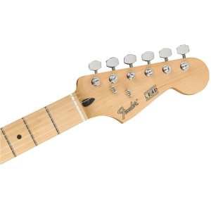 Fender