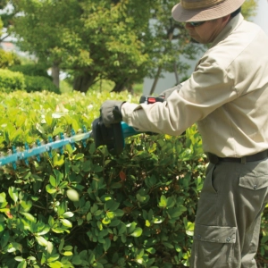 Equipos de jardineria