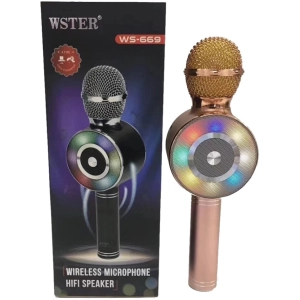 WSTER WS-669