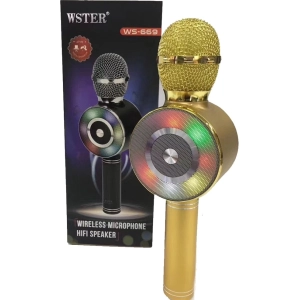 WSTER WS-669