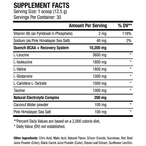 ANS Performance Quench BCAA 375 g