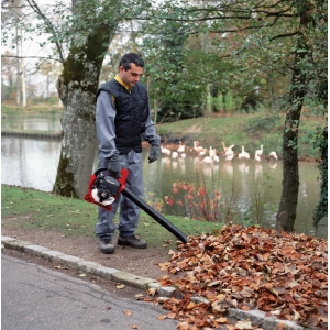 Sopladores-aspiradores de jardín