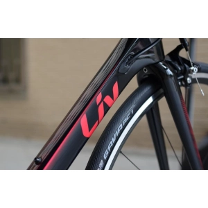 Giant Liv Langma Advanced 2 QOM 2019 frame XS