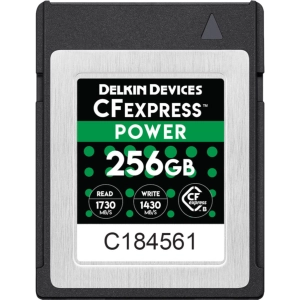 Tarjeta de memoria Delkin Devices POWER CFexpress 256Gb