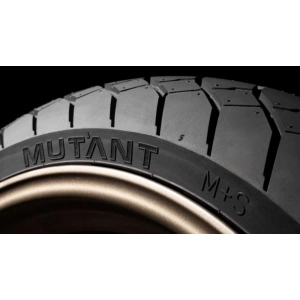 Dunlop Mutant M+S 180/55 R17 73W