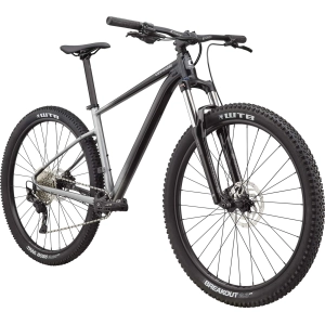 Cannondale Trail SE 4 2021 frame XL