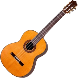 Guitarra Martinez MC-88C